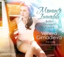 Image of Venera Gimadieva: Momento Immobile