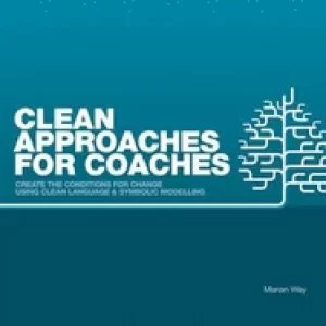 Image of clean approaches for coaches how to create the conditions for change using