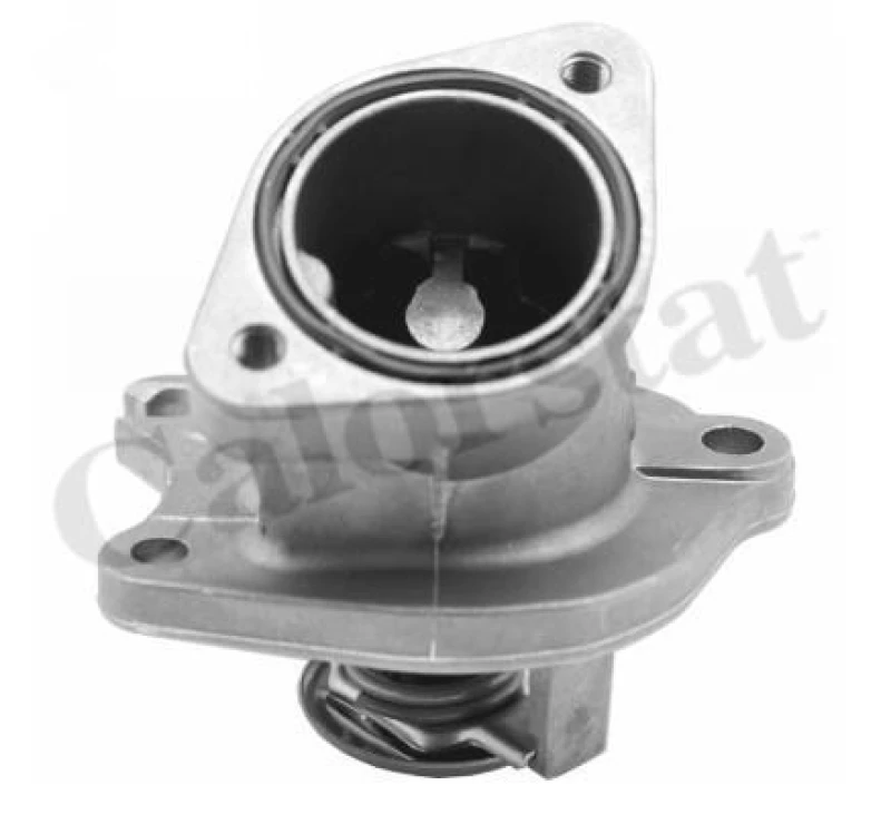 Image of WAHLER 4832.87D Engine thermostat Opening Temperature: 87°C, with gaskets/seals Thermostat,coolant (316)