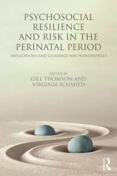 Image of Psychosocial Resilience and Risk in the Perinatal PeriodImplications and Guidance for Professionals