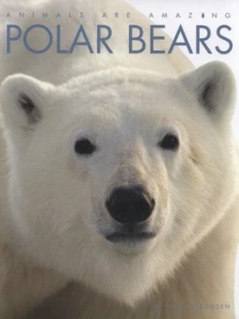 Image of Polar Bears by Valerie Bodden Hardback