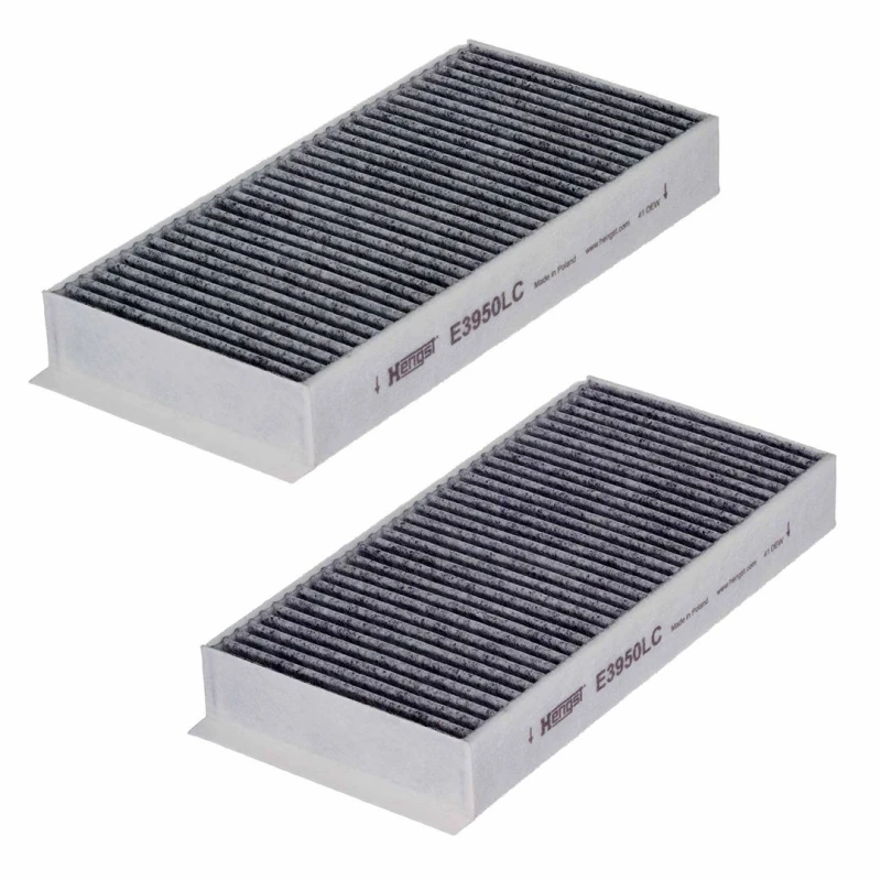Image of Pollen filter HENGST FILTER E3950LC-2