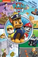 Image of nickelodeon paw patrol little look and find activity book pi kids