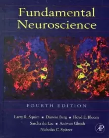 Image of Fundamental Neuroscience