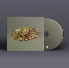 Image of Forest Floor