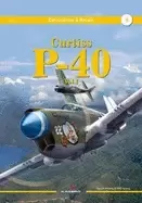 Image of curtiss p 40 volume 1