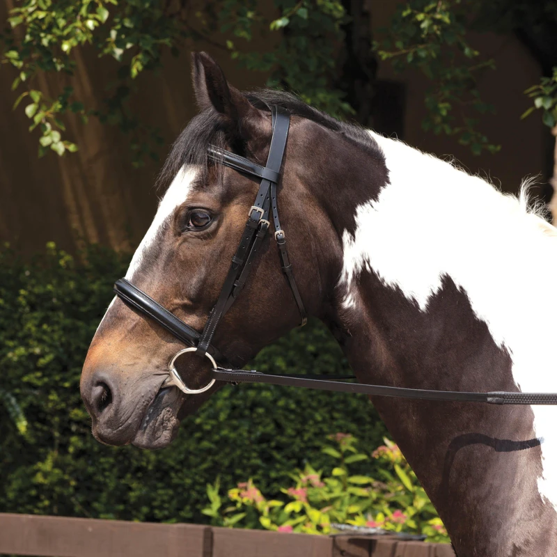 Image of Requisite Raised Bridle and Reins - Black Cob