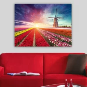 Image of 7091488543_70100 Multicolor Decorative Canvas Painting
