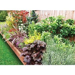Image of Garden on a Roll Mixed Sunny Border 600mm x 4m