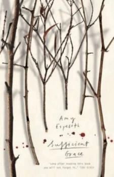 Image of Sufficient Grace by Amy Espeseth Hardback