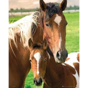Image of Horses Mare & Foal Mini Poster
