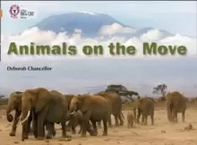 Image of Animals on the Move : Band 12/Copper