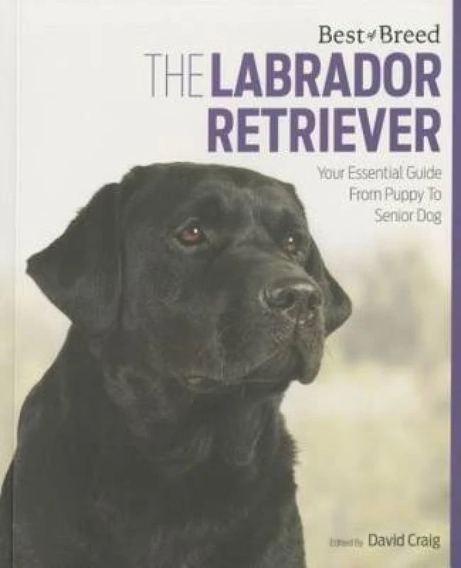 Image of The Labrador by Barrister David Craig Paperback