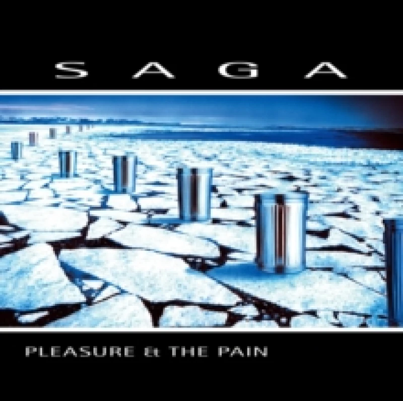 Image of Pleasure & the Pain (Limited Edition) Vinyl