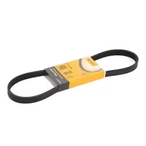 Image of CONTITECH V-ribbed belt 5PK865 Serpentine belt,Auxiliary belt BMW,TOYOTA,MITSUBISHI,3 Limousine (E46),5 Limousine (E39),3 Touring (E46),3 Coupe (E46)