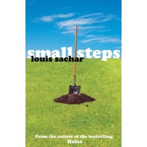 Image of Small Steps