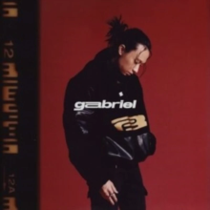 Image of Gabriel Vinyl