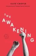 Image of awakening a novel