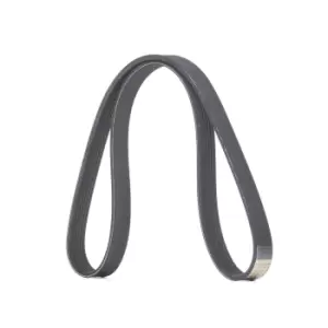 Image of RIDEX V-ribbed belt FORD,FIAT,PEUGEOT 305P0484 5750XP,96640693,9664069380 9658144580,9664069380,1434349,1465191,6C1Q6C301BC,6C1Q6D314BA,6C1Q6D314BC