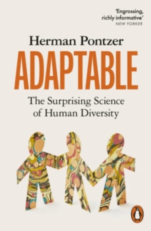 Image of Adaptable. Paperback. By Herman Pontzer Books
