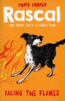 Image of Facing the Flames by Chris Cooper Book
