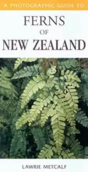 Image of A photographic guide to ferns of New Zealand by L. J Metcalf