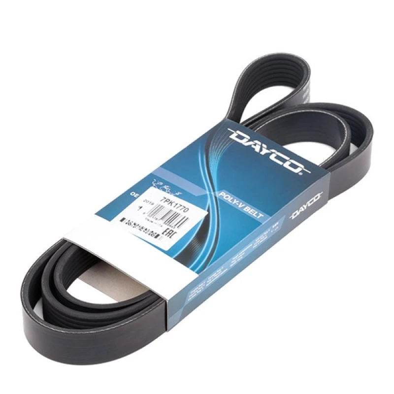 Image of DAYCO 7PK1770 V-ribbed belt V-Ribbed Belts (305)