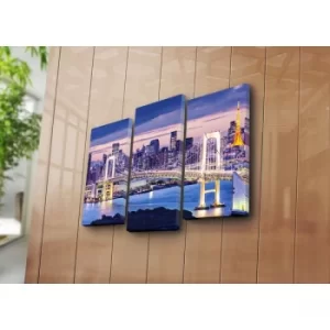 Image of 3KBPAT-26 Multicolor Decorative Canvas Painting (3 Pieces)