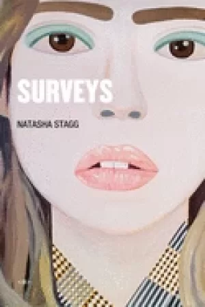 Image of surveys a novel
