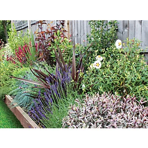Image of Garden On A Roll Wildlife Border Pack 4m x 60cm Plants