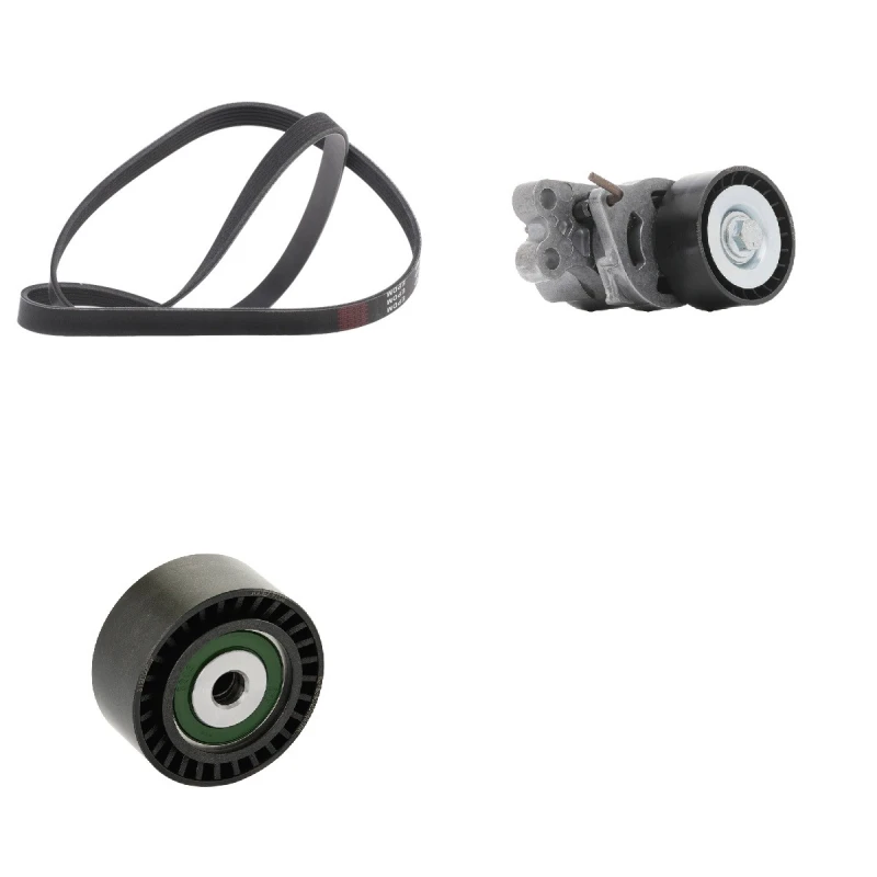 Image of RIDEX PLUS 542R0086P V-ribbed belt set V-Ribbed Belt Set (542)