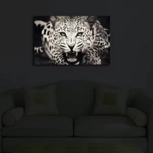 Image of 4570?ACT-43 Multicolor Decorative LED Lighted Canvas Painting