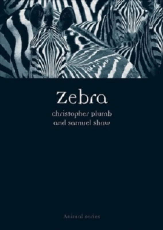 Image of Zebra Paperback / softback