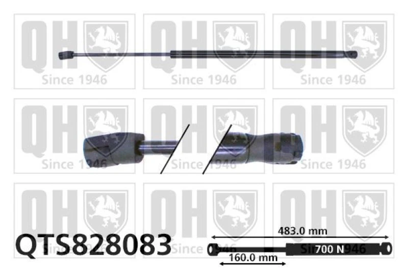 Image of QUINTON HAZELL Tailgate strut QUINTON HAZELL QTS828083
