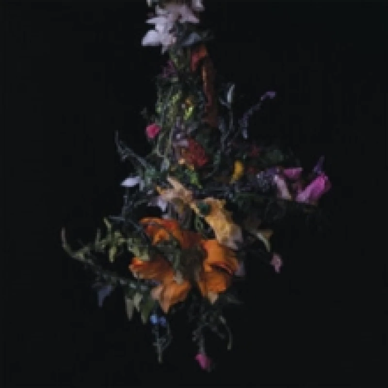Image of Nature Morte CD / Album