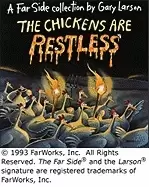 Image of chickens are restless