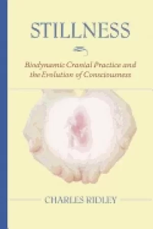 Image of stillness biodynamic cranial practice and the evolution of consciousness