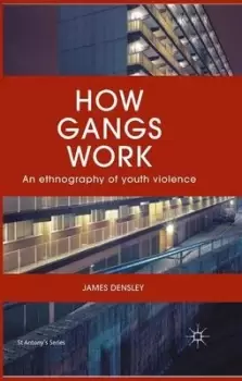 Image of How gangs work by J. Densley