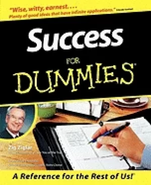 Image of success for dummies