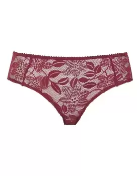 image of Dorina Daphne Classic Hipster Brief