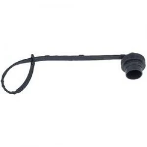 Image of Binder 08 1078 000 000 Protective Cap