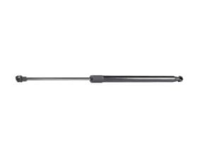 Image of RIDEX Tailgate strut AUDI 219G0337 8P3827552D