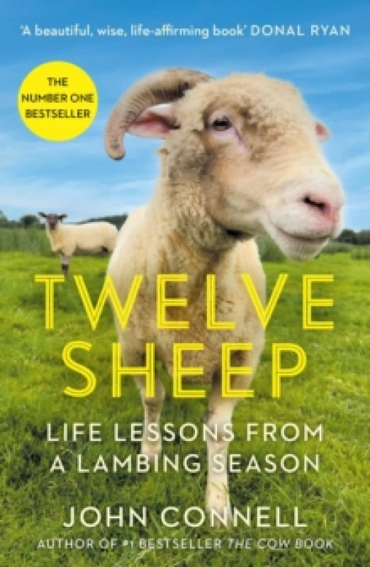 Image of Twelve Sheep : Life lessons from a lambing season Paperback / softback