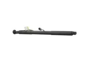 Image of RIDEX Tailgate strut VOLVO 219G1035 31298575,31352186,31386706 31479628