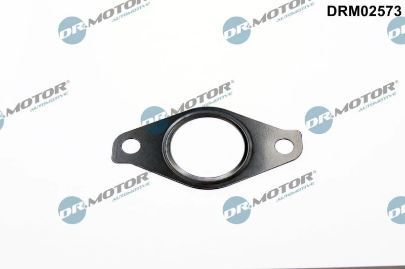 Image of DR.MOTOR AUTOMOTIVE Thermostat housing gasket DR.MOTOR AUTOMOTIVE DRM02573