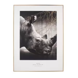 image of Rhino 60x80cm Large Monochrome Framed Wall Art Gold