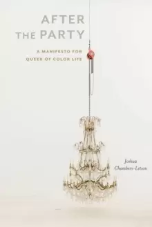Image of After the Party : A Manifesto for Queer of Color Life