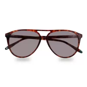 Image of Hackett 3338 S/gls 99 - Brown