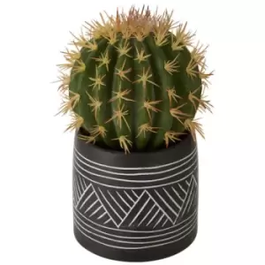 image of Olivia's Freda Planter Succulent Cactus