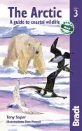 Image of arctic 3rd a guide to coastal wildlife